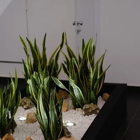 Domea Superior 住宿加早餐酒店 雷焦卡拉布里亚